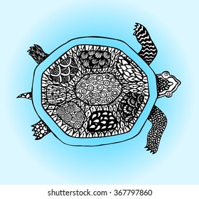 Doodle turtle.Hand drawn sketch