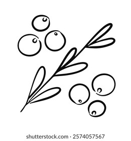 Doodle twig and berries black line on white background vector illustration