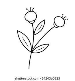 Doodle twig with berries. Vector linear illustration.