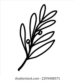 Doodle twig with leaves and berries. Element for design	
