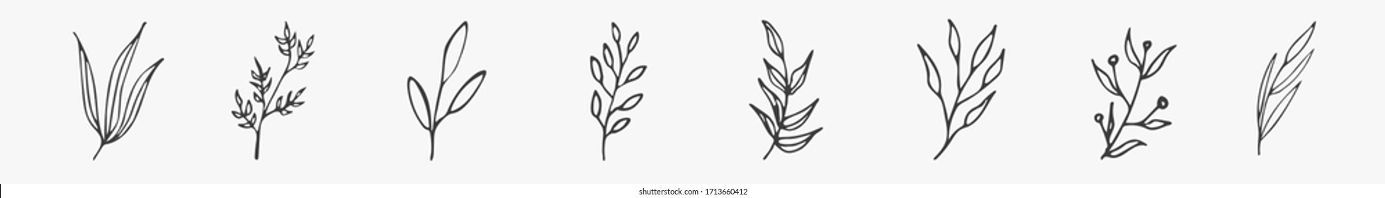 doodle twigs black on a white background