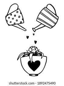 Doodle of two watering cans water the flower. Love cultivation concept. Hand drawn vector illustration. Romantic sketch isolated on white. Contour drawing for st Valentine holiday design, print, card.