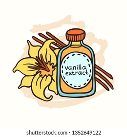 Doodle vanilla extract in bottle on white background. Natural vanilla spice. Exotic asian spice for dessert or parfum industry vector illustration.