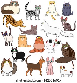 doodle of various cats breed