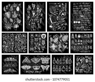 Doodle Vector Big collection of  leave, ghost, art tool school,  halloween, animal, mint, butterfly, cityscape, alcohol, cinema on chalkboard