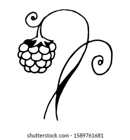 Doodle vector black & white illustration raspberry on a twig. Isolated on white background