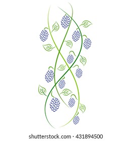 Doodle vector color abstract handdrawn vine grape