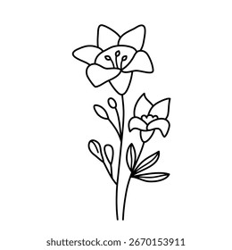 Doodle vector flower contour symbol isolated on a transparent background