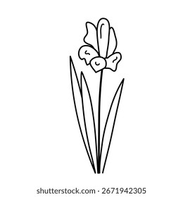 Símbolo del contorno de la flor del Vector del garabato aislado en un fondo transparente