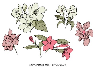 Doodle vector flowers in vintage. Without color isolated. Great for different web usages as well as printed ones