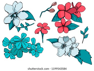 Doodle vector flowers in vintage. Without color isolated. Great fo different web usages as well as printed ones