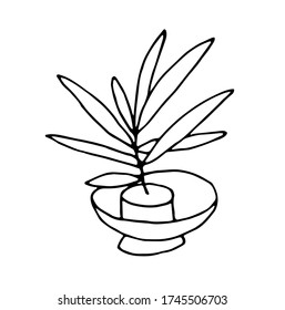 Doodle vector of house plant in pot, floral plant. Natural decor for cozy home and interior. Hand drawn vector art, outline drawing. Isolated on white background. Stock vector illustration.