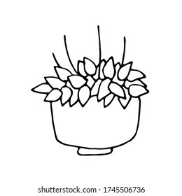 Doodle vector of house plant in pot, floral plant. Natural decor for cozy home and interior. Hand drawn vector art, outline drawing. Isolated on white background. Stock vector illustration.