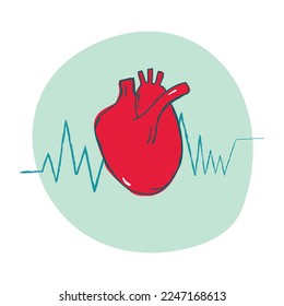 Ilustración del vector de Doodle Corazón Humano Anatómico Realista con electrocardiograma. Concepto de asistencia sanitaria de cardiología