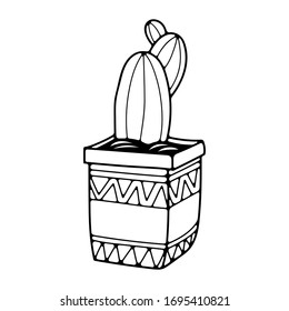 Doodle vector illustration with cactus to pot. Isolated on white background.