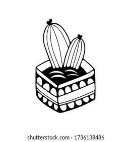Doodle vector illustration with cactus to pot. Isolated on white background.