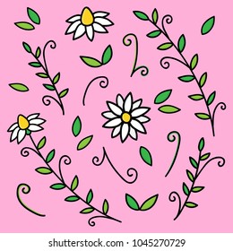 Doodle vector illustration of chamomile, camomile plant, flower. Set of hand drawn doodles, leaves and flowers, isolated on pink background.