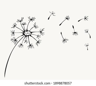 Doodle Vector Illustration Of Dandelion