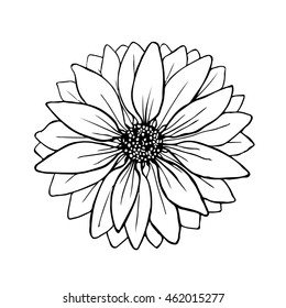 Doodle vector Illustration flower. Beautiful isolated. For greeting cards and invitations of wedding, birthday, mother's day, holiday Plant on background. Cloth design,wallpaper,wrapping. Eps10.