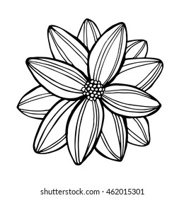 Doodle vector Illustration flower. Beautiful isolated. For greeting cards and invitations of wedding, birthday, mother's day, holiday Plant on background. Cloth design,wallpaper,wrapping. Eps10.