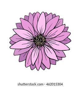 Doodle vector Illustration flower. Beautiful isolated. For greeting cards and invitations of wedding, birthday, mother's day, holiday Plant on background. Cloth design,wallpaper,wrapping. Eps10.