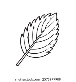 Doodle Vector Illustration of a Mint Leaf in Cartoon Style. Isolated on white background. Fun drawing cartoon style icon. Perfect for beauty, anatomy adding a sleek and creative touch to your designs.