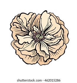 Doodle vector Illustration rose. Beautiful flower isolated. For greeting cards and invitations of wedding, birthday, mother's day, holiday Plant on background. Cloth design,wallpaper,wrapping. Eps10.