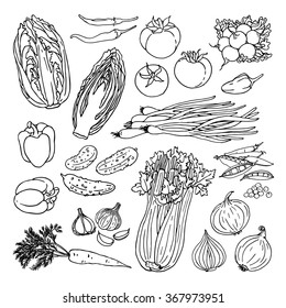 Doodle vector illustration of vegetables set. Sketch collection of fresh vegetables isolated on white background.