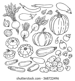 Doodle vector illustration of vegetables set. Sketch collection of fresh vegetables isolated on white background.