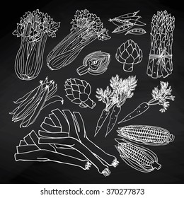 Doodle vector illustration of vegetables set. Hand drawn collection of vegetables on the chalkboard.