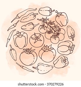 Doodle vector illustration of vegetables set. Hand drawn collection of tomatoes and pepper on the watercolor background.