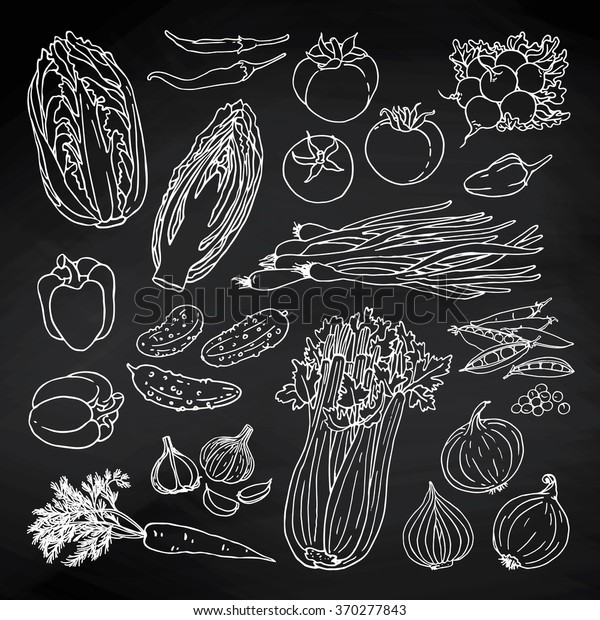 野菜セットの落書き風ベクターイラスト 黒板に野菜の手描きのコレクション のベクター画像素材 ロイヤリティフリー 370277843