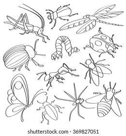Doodle vector insects