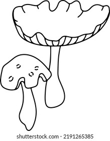 Doodle vector mushroom. Autumn isolated illustration. 