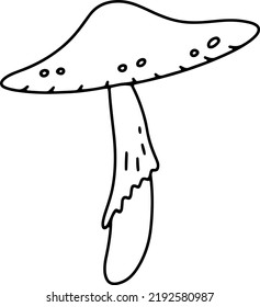 Doodle vector mushroom. Autumn isolated illustration. 