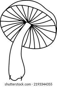 Doodle vector mushroom. Autumn isolated illustration. 