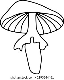 Doodle vector mushroom. Autumn isolated illustration. 