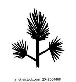 Doodle vector plant with leaf. Hand drawn brunch. Coniferous plant, needle leaves, prickly leaves