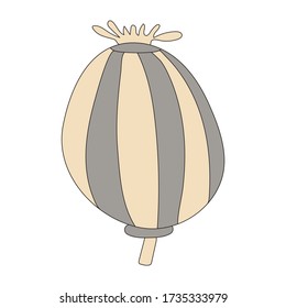 Icono de amapola vectorial Doodle aislado en fondo blanco. Señal dibujada a mano. 