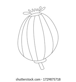 Icono de línea de amapola vectorial Doodle aislado en fondo blanco. Señal dibujada a mano. 