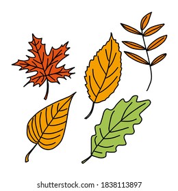 Juego de vectores de Doodle de hojas de otoño sobre un fondo blanco aislado. Diseño de afiches, productos textiles de cocina, ropa y sitios web