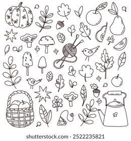 Conjunto de Vector doodle con hojas y frutas de otoño. lindos Elementos de contorno 