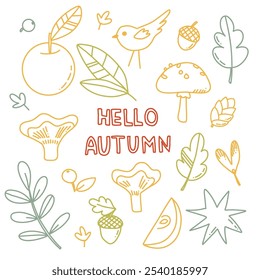 Conjunto de Vector doodle con hojas y frutas de otoño. lindos Elementos de contorno