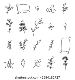 Doodle Vector Set Floral, Frame