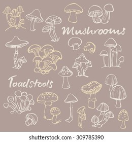 Doodle vector set of mushrooms and toadstools