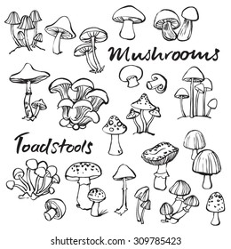 Doodle vector set of mushrooms and toadstools