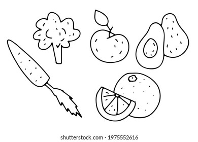 Doodle vegetables and fruits set. Hand-drawn carrot, broccoli, orange, apple, avocado isolated on white background. Healthy food, diet, vitamin, snack, organic plant, gardening. Vector illustration