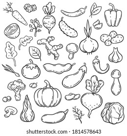 Doodle vegetables. Hand drawn different carrot, onion and cucumber. Ginger, mushroom and garlic, cabbage and tomato veggie food vector set. Cabbage and eggplant, cucumber and pepper illustration