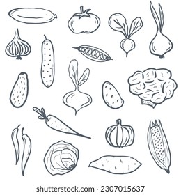 Doodle vegetables, hand drawn set of veggies, tomato, broccoli,corn, avocado, onion, carrot, potato, pumpkin, pepper, yam, raddish, cucumber, cabbage.Elements for print, background, kitchen towels