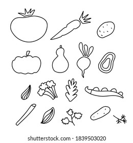 Doodle vegetables icon set. Hand drawn illustration, vegetarian concept, grow food: carrot, tomato, potato, celery, pumpkin. Dill, radish, cucumber, avocado, broccoli. Healthy organic natural food